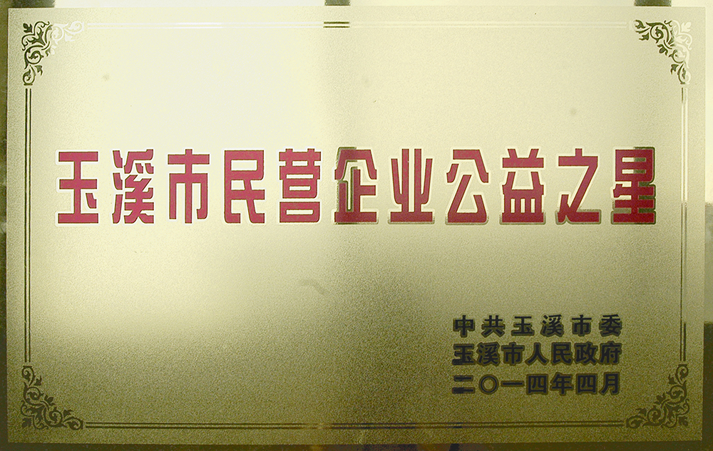 玉溪市民营企业公益之星
